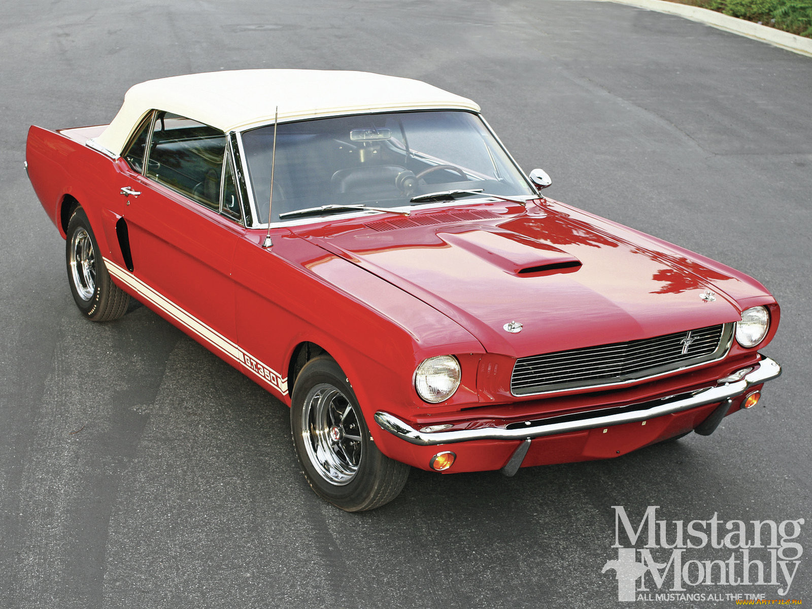 , mustang